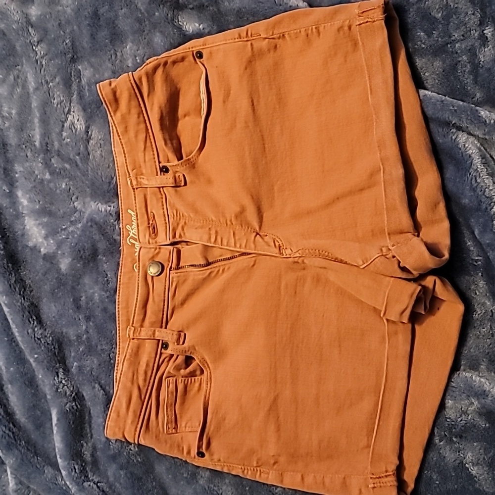 Rust Colored Women's Shorts